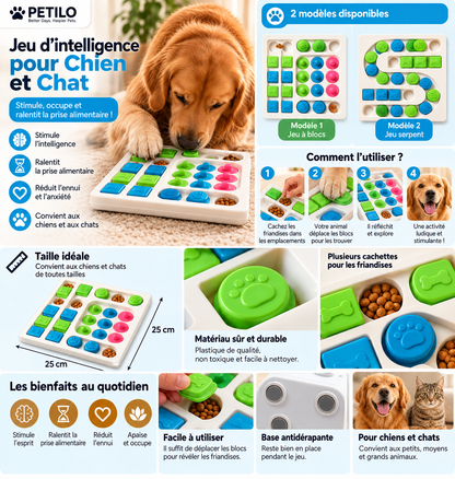 🐶 Jeu d’intelligence interactif pour chien & chat