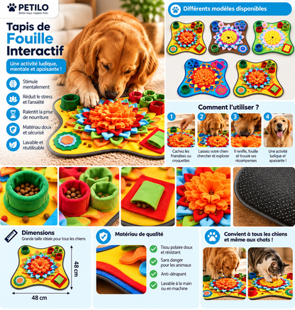 🐶 Tapis de fouille interactif pour chien