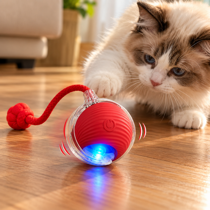 Balle Intelligente Interactive pour Chat – Jouet Automatique 3 Modes avec Lumière LED & Recharge USB-C